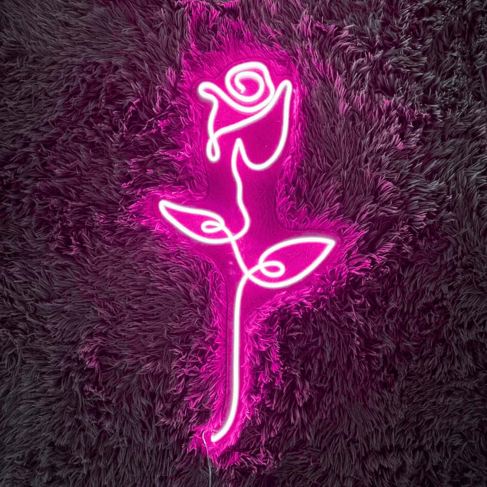 Néon LED La Rose Brillante