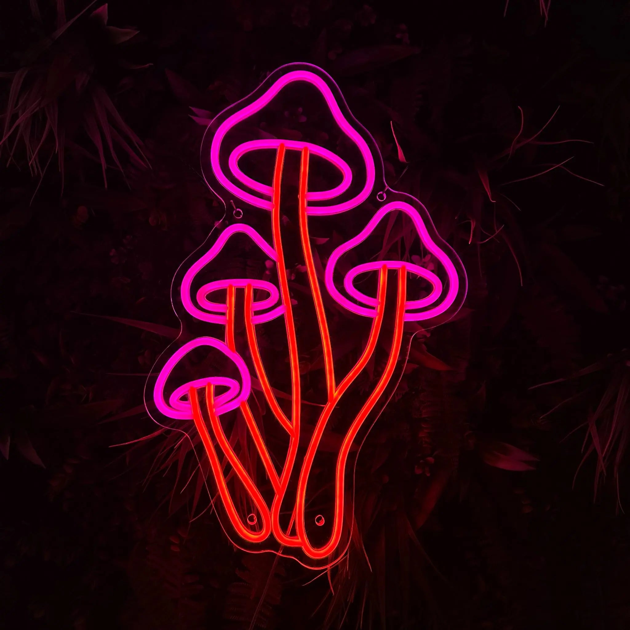 Néon Champignon Enchanté