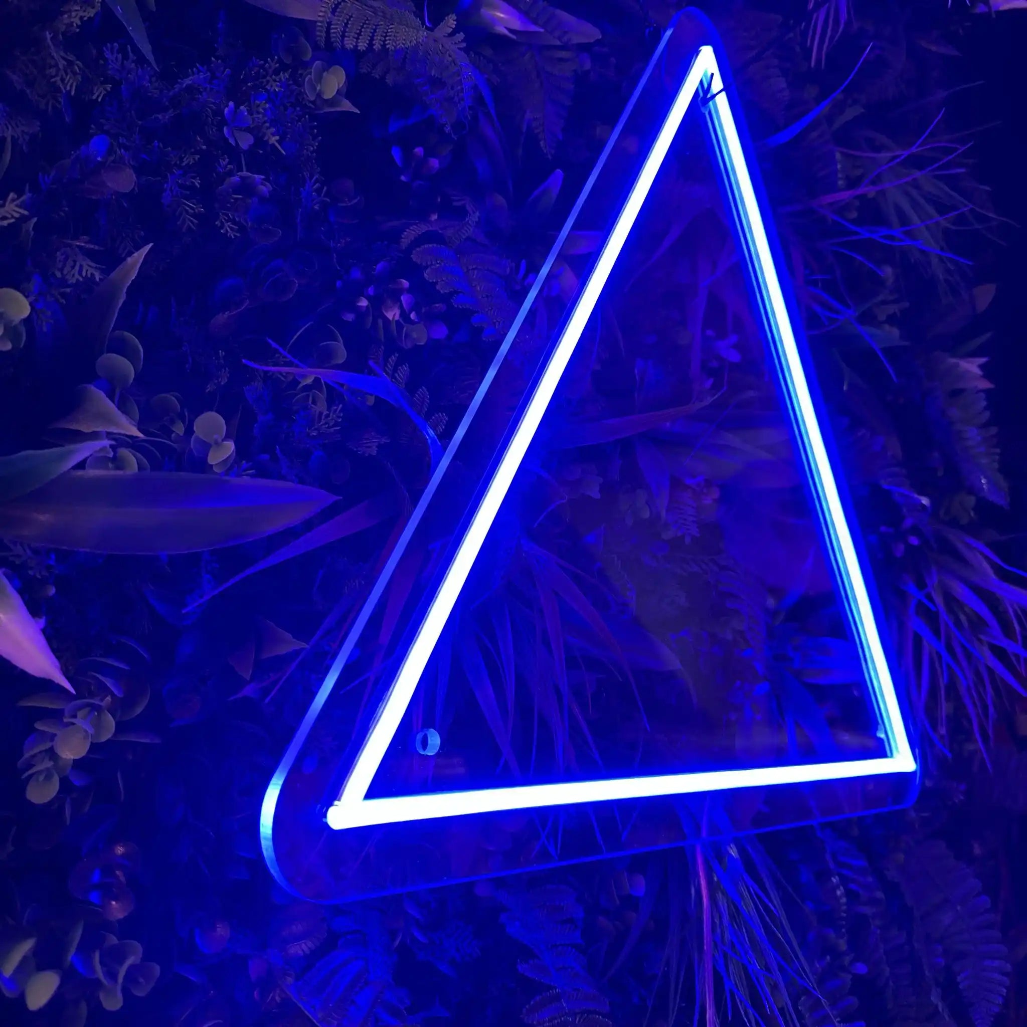 Triangle Light Néon LED