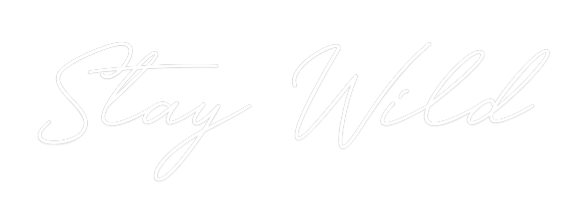 Néon personnalisé: Adventure Glow