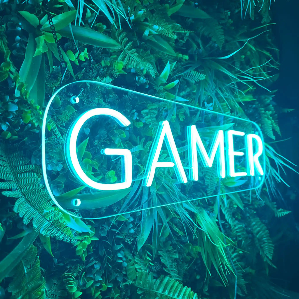 Néon LED Pro Gaming