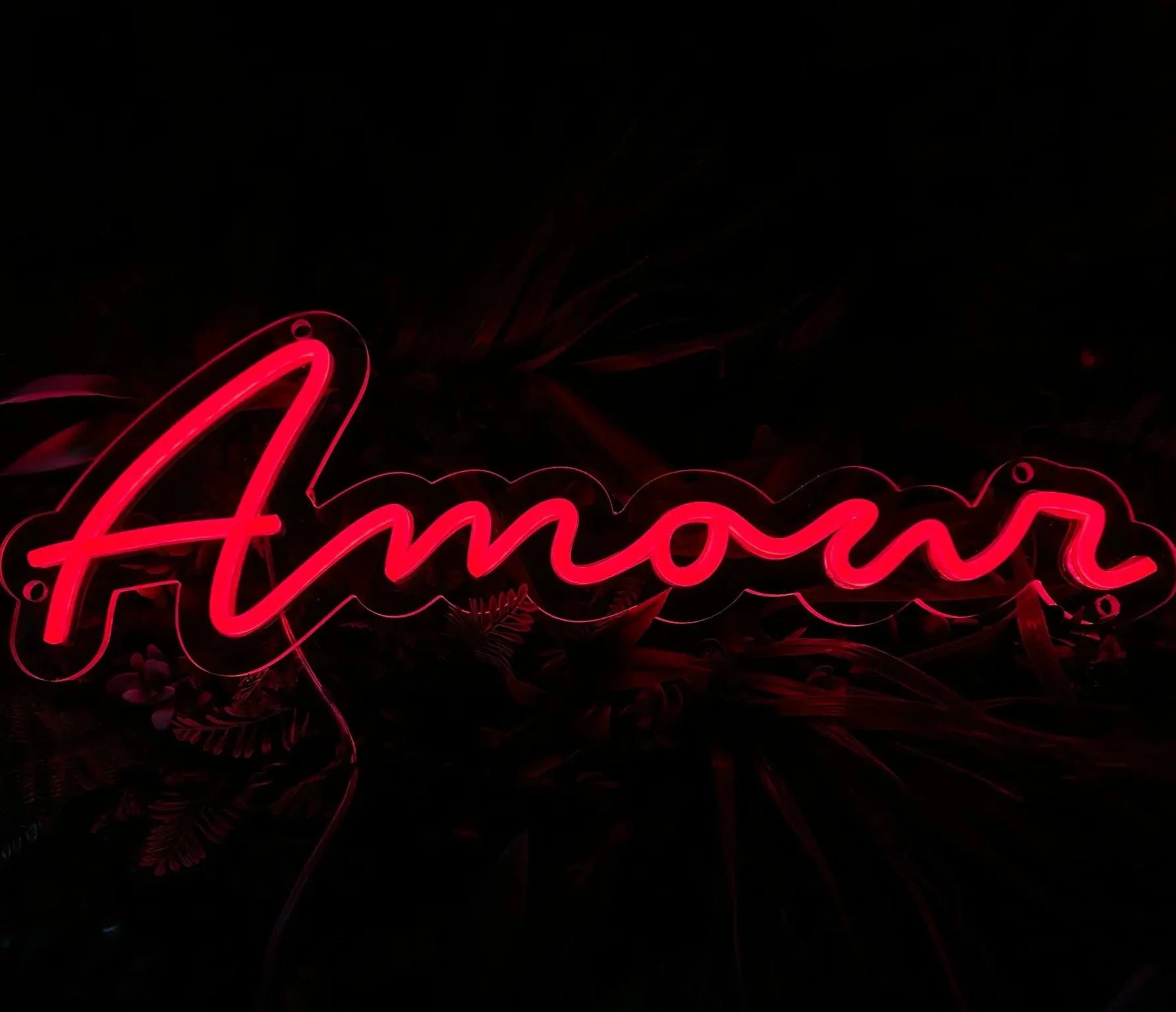 Néon LED Heart Glow