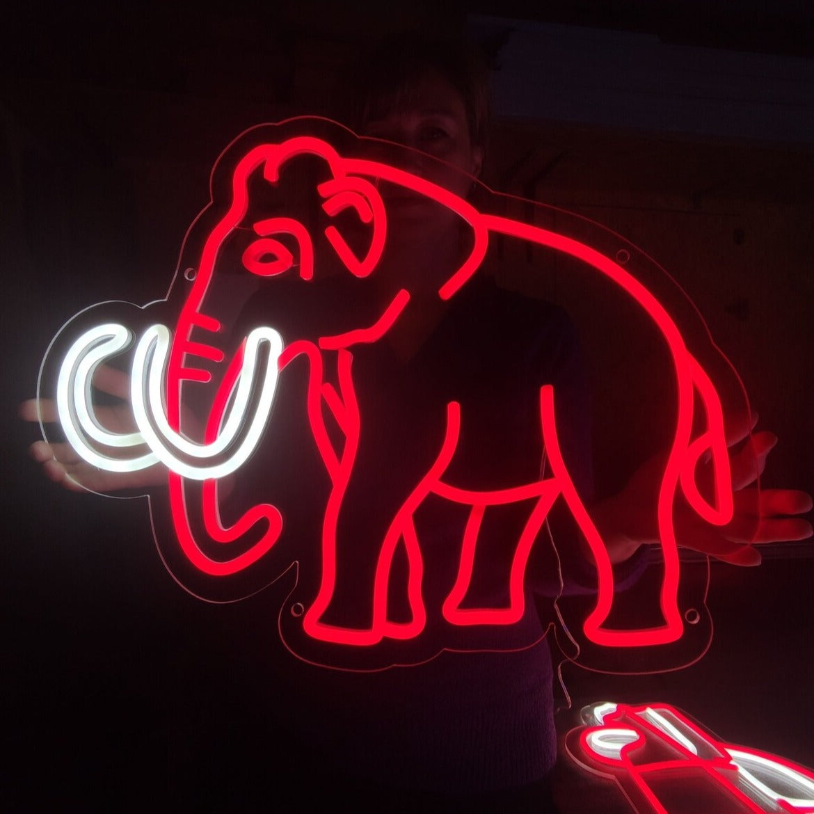 Néon LED Elephant Glow