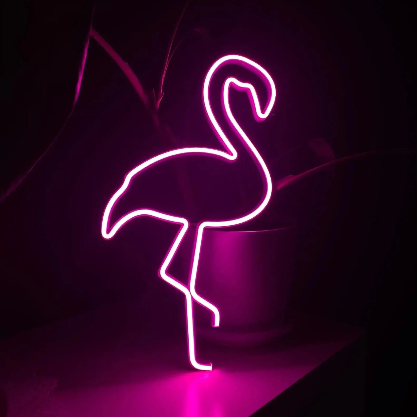 Néon LED Rose flamboyant #2