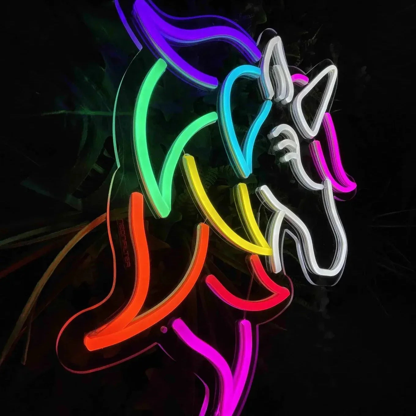 Néon LED Arc-en-ciel #2