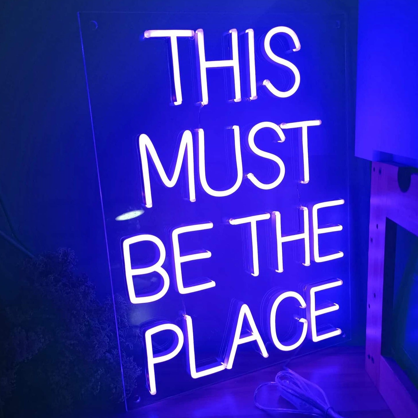 Néon LED This is the place to be