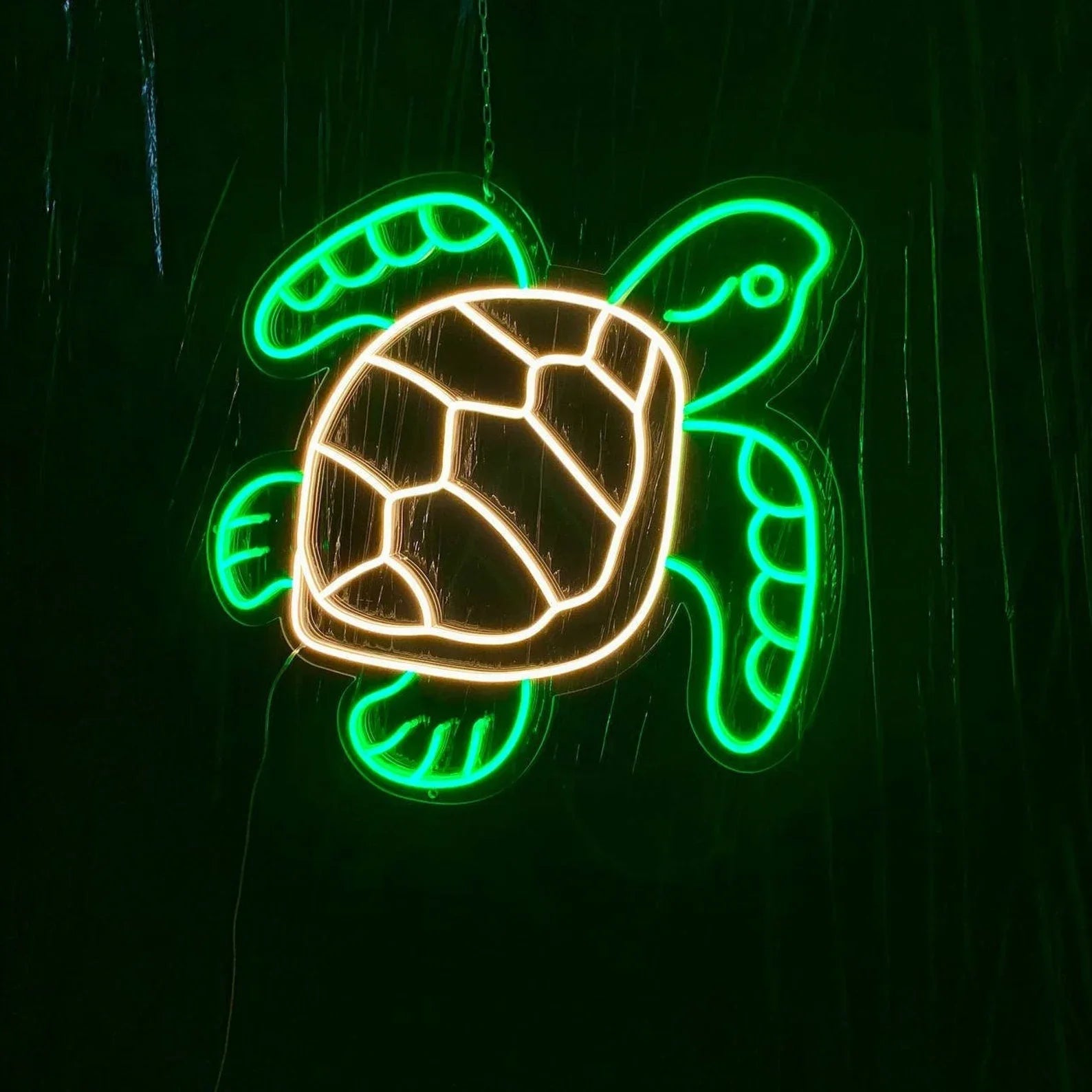 Tortue Lumineuse