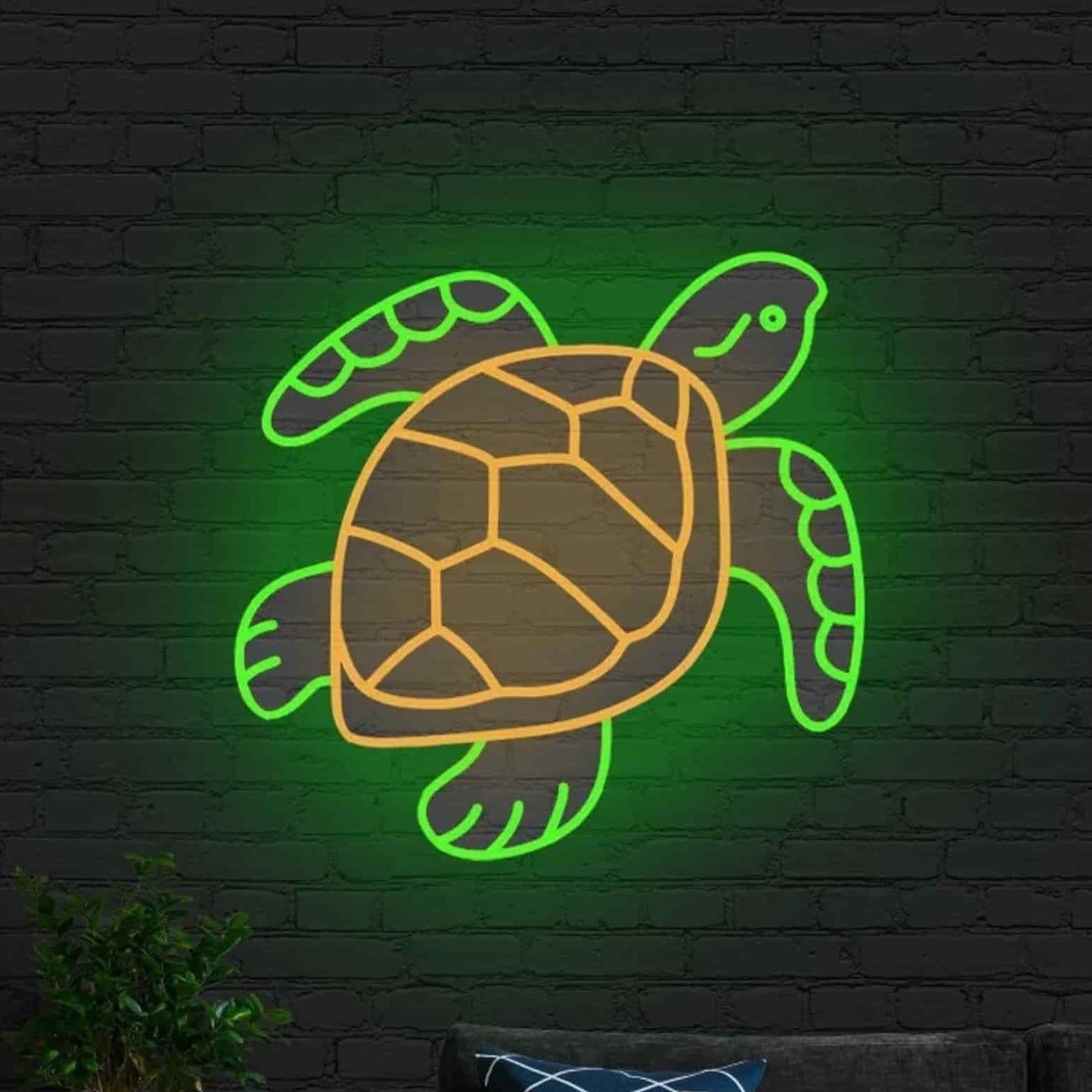 Tortue Lumineuse